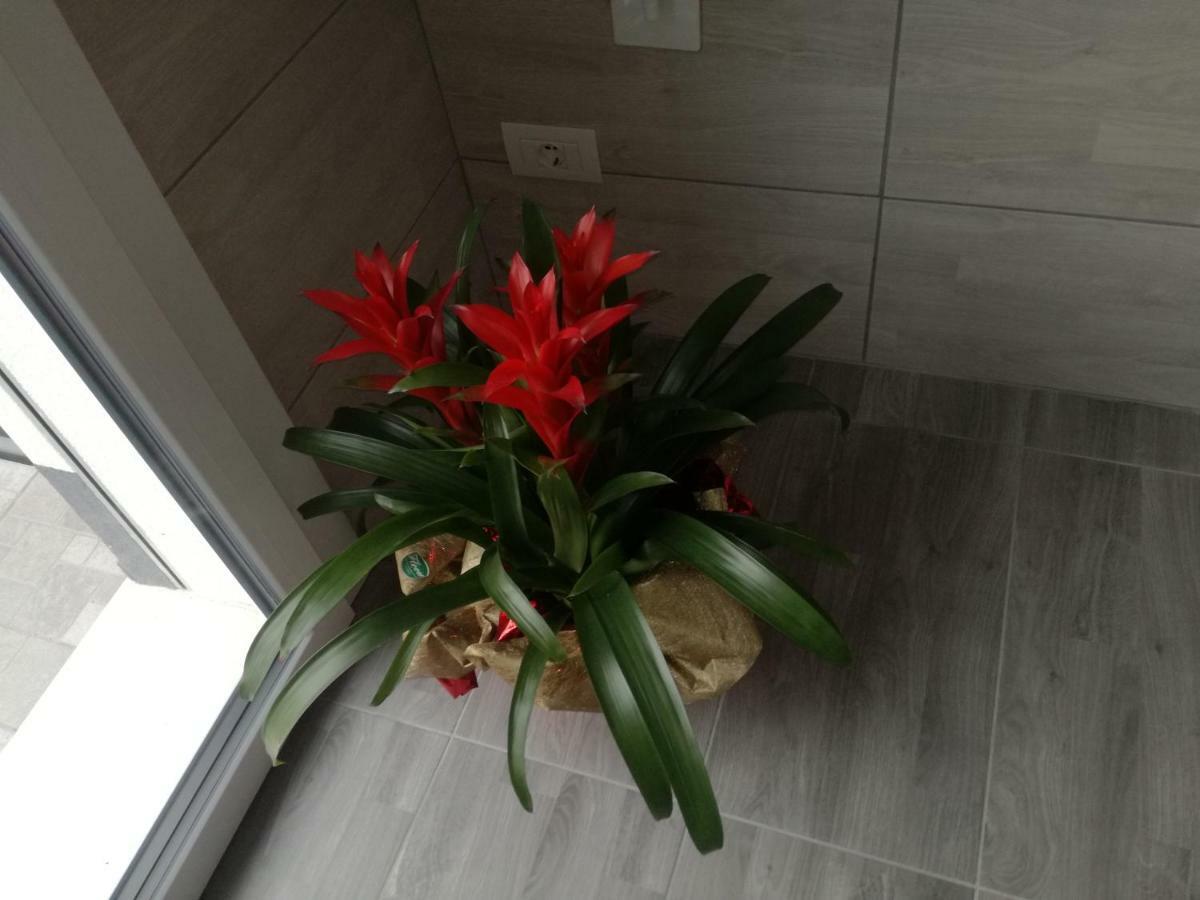 Alessietto Apartment Верона Екстериор снимка